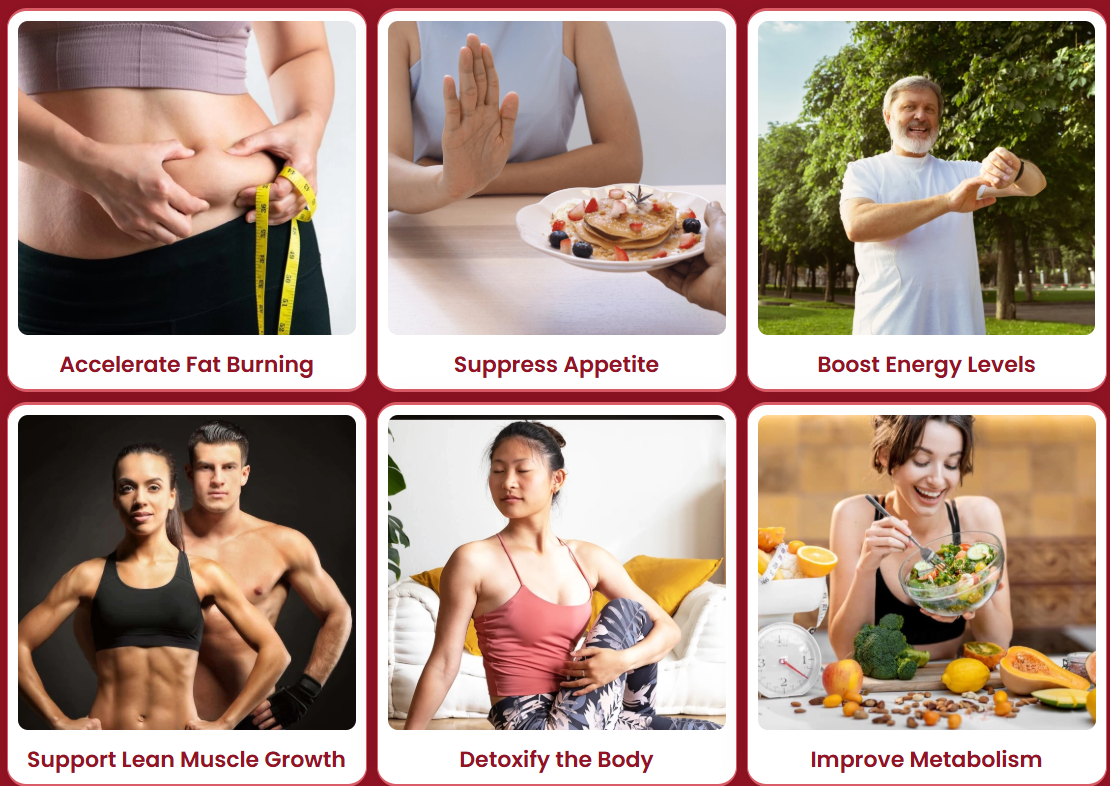 Walking and Metabolism: Why Simple Movement Supports Your Goals